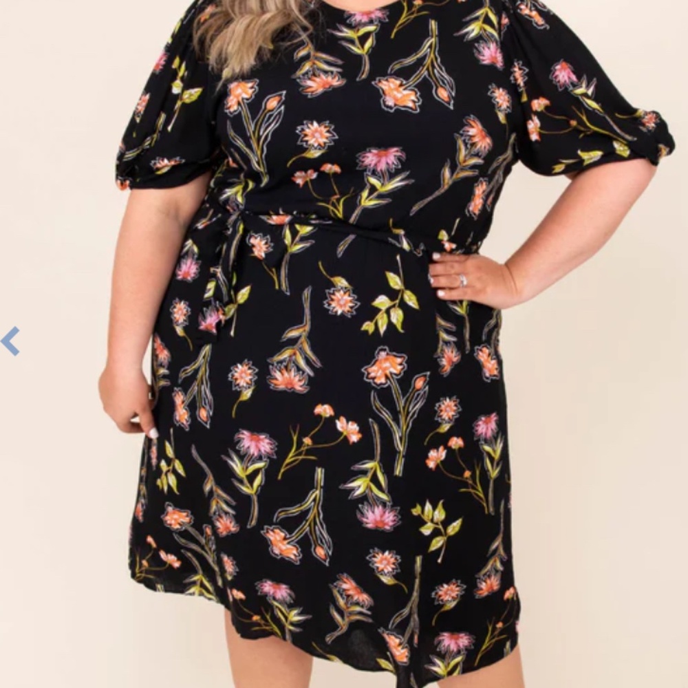 Chic Soul Bitter Spring Dress